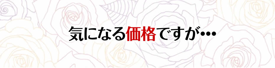 毎年１月には 今年こそは素敵な彼を作りたい って宣言しているのに 今年も彼ができない おかしいな こんなはずじゃないのに 今年こそは本気で恋活するぞ って 気合は十分 だけど本当に気合だけで 彼はできるでしょうか まず